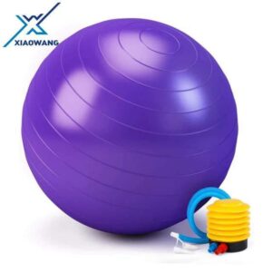 Birthing Ball