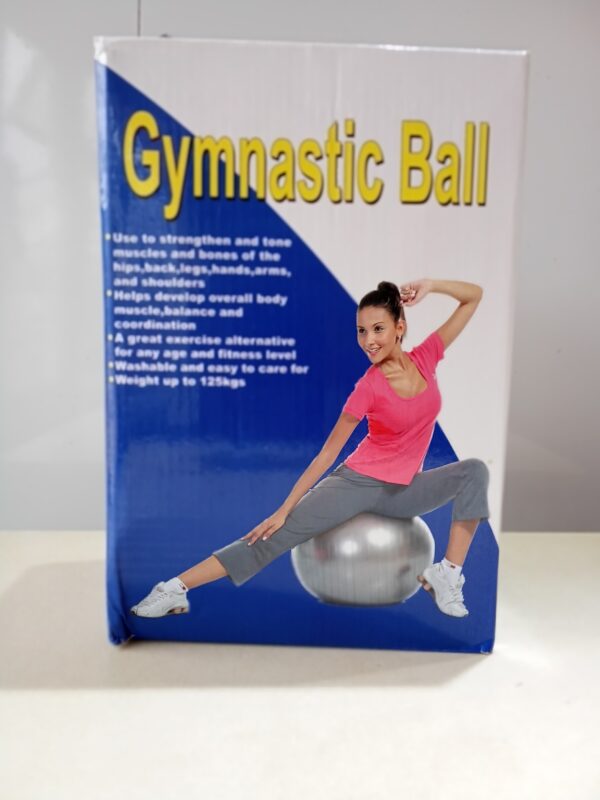 Gymnastics Ball